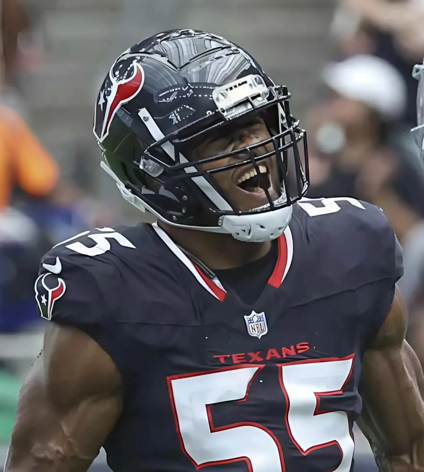 Multiple Houston Texans Players Will be Candidates to Make Pro Bowl