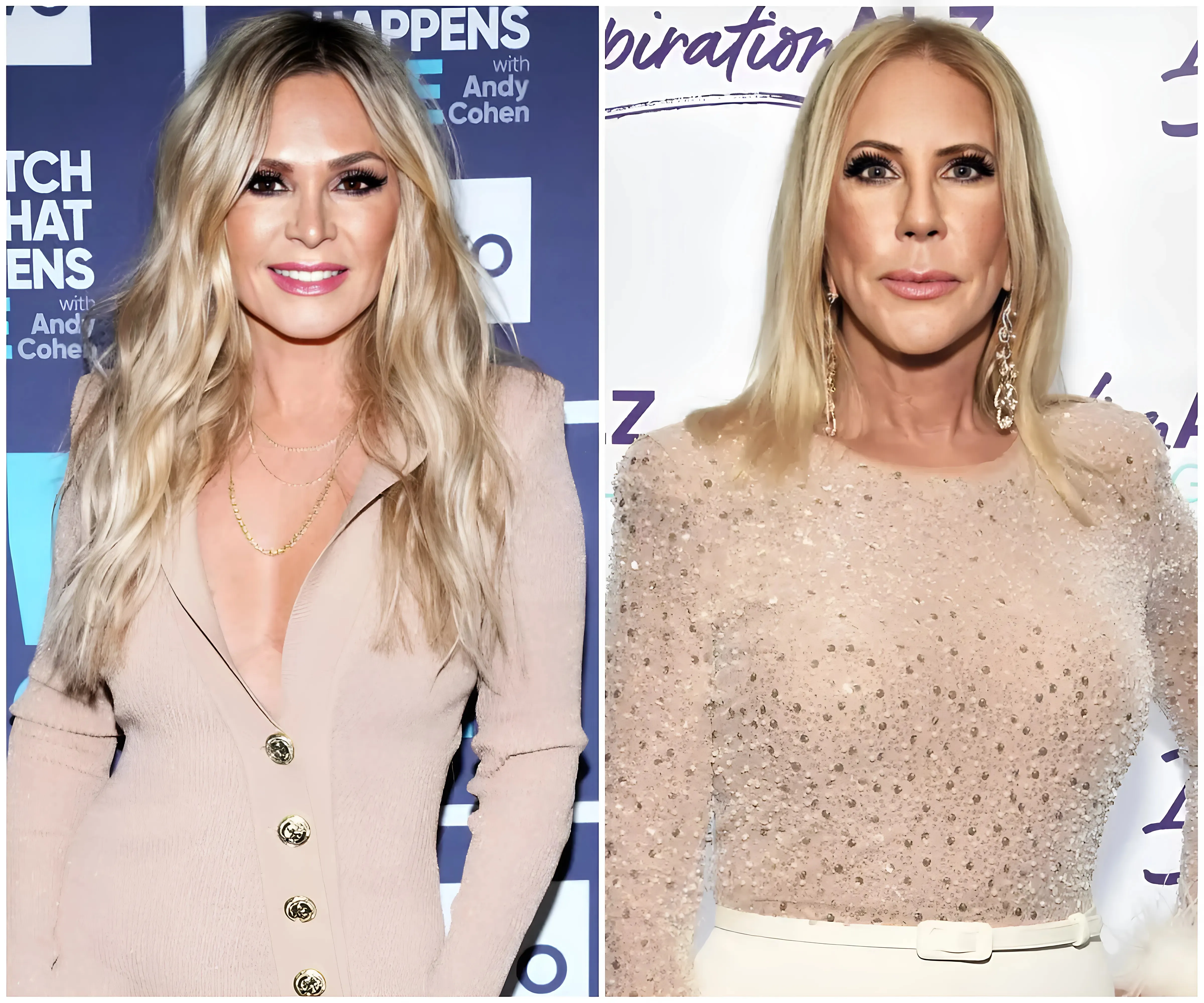 'You vile human!' Tamra Judge publicly criticized Vicki Gunvalson on Twitter after the explosive finale of RHOC.