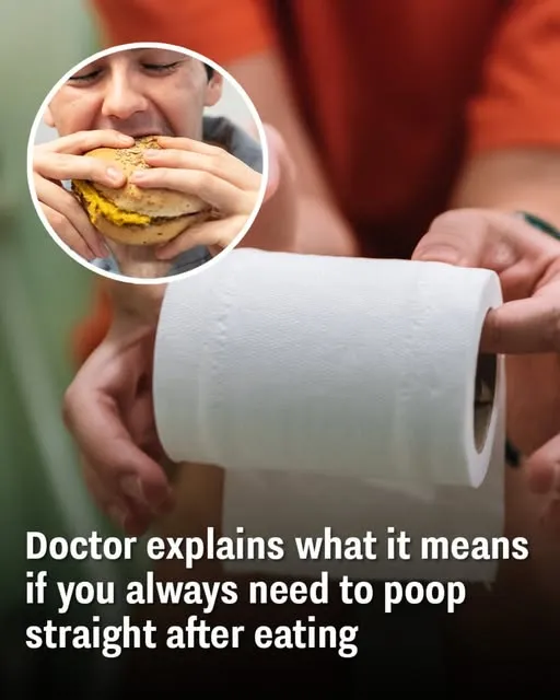Doctor explains what it means why if you always need to poop straight after eating Doctor explains what it means why if you always need to poop straight after eating