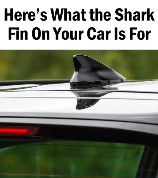 The shark fin on your car serves an important purpose
