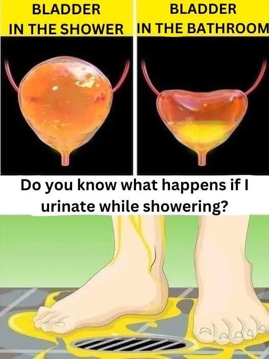 If you urinate in the shower, be careful, you should know that…