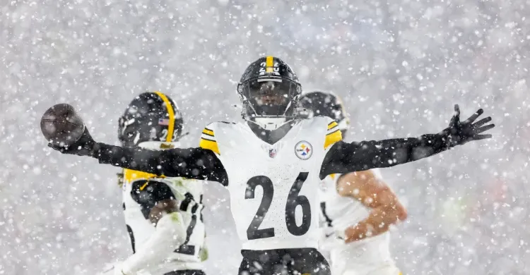 Cincinnati Bengals linked to Pittsburgh Steelers defender in free agency