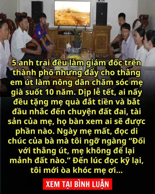 Ch,ăm s,ó,c mẹ già s,uốt 10 năm nhưng không được chia mảnh đất nào, đến lúc đọc kỹ lại di chúc tôi mới òa kh,óc