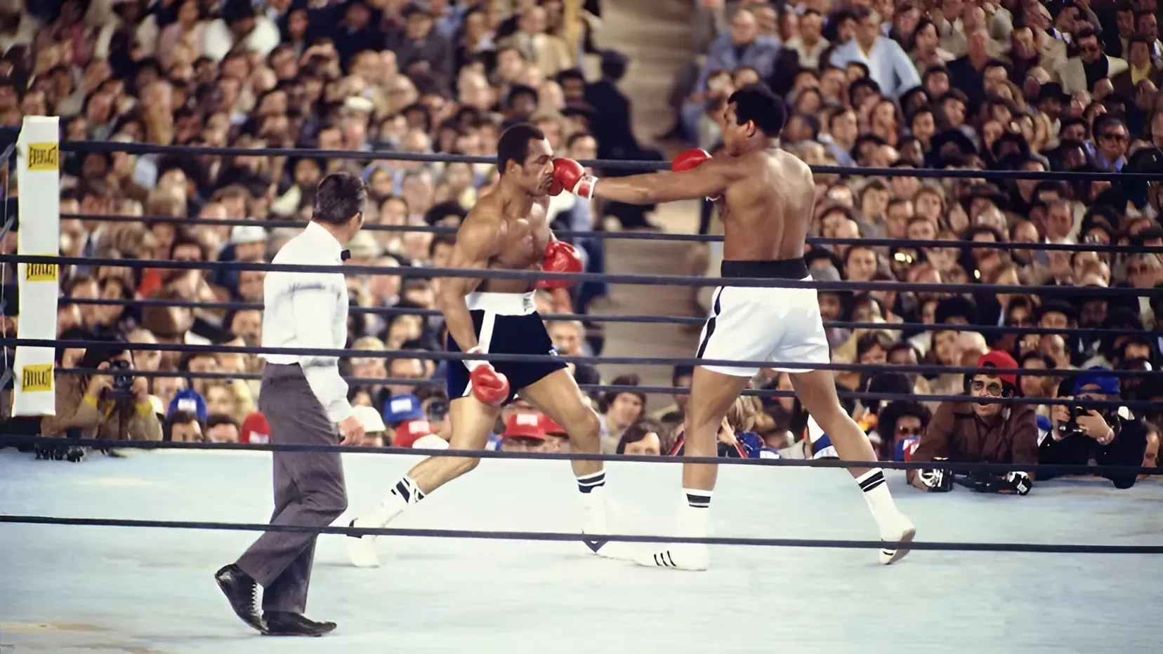 Muhammad Ali: Footage of legend floating like a butterfly and stinging like a bee is mesmeric