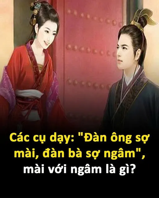 Các cụ dạy: "Đ à n ông s ợ mài, đàn bà s ợ ngâm", mài với ngâm là gì?