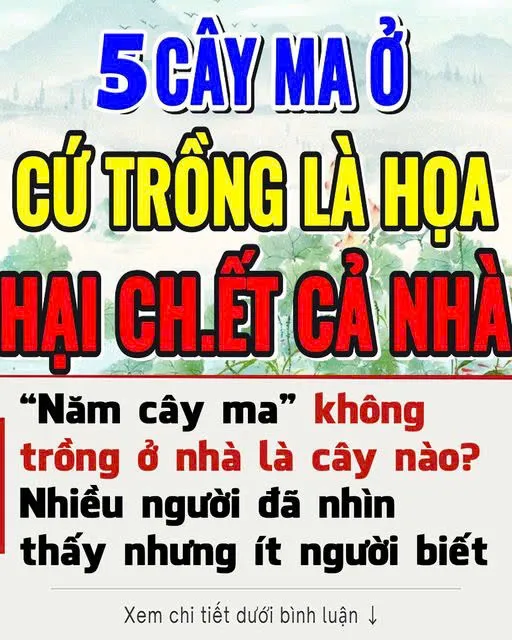 “Năm cây ma” không trồng ở nhà là năm loại cây nào? Ngoài đời nhiều người đã nhìn thấy nhưng ít người biết