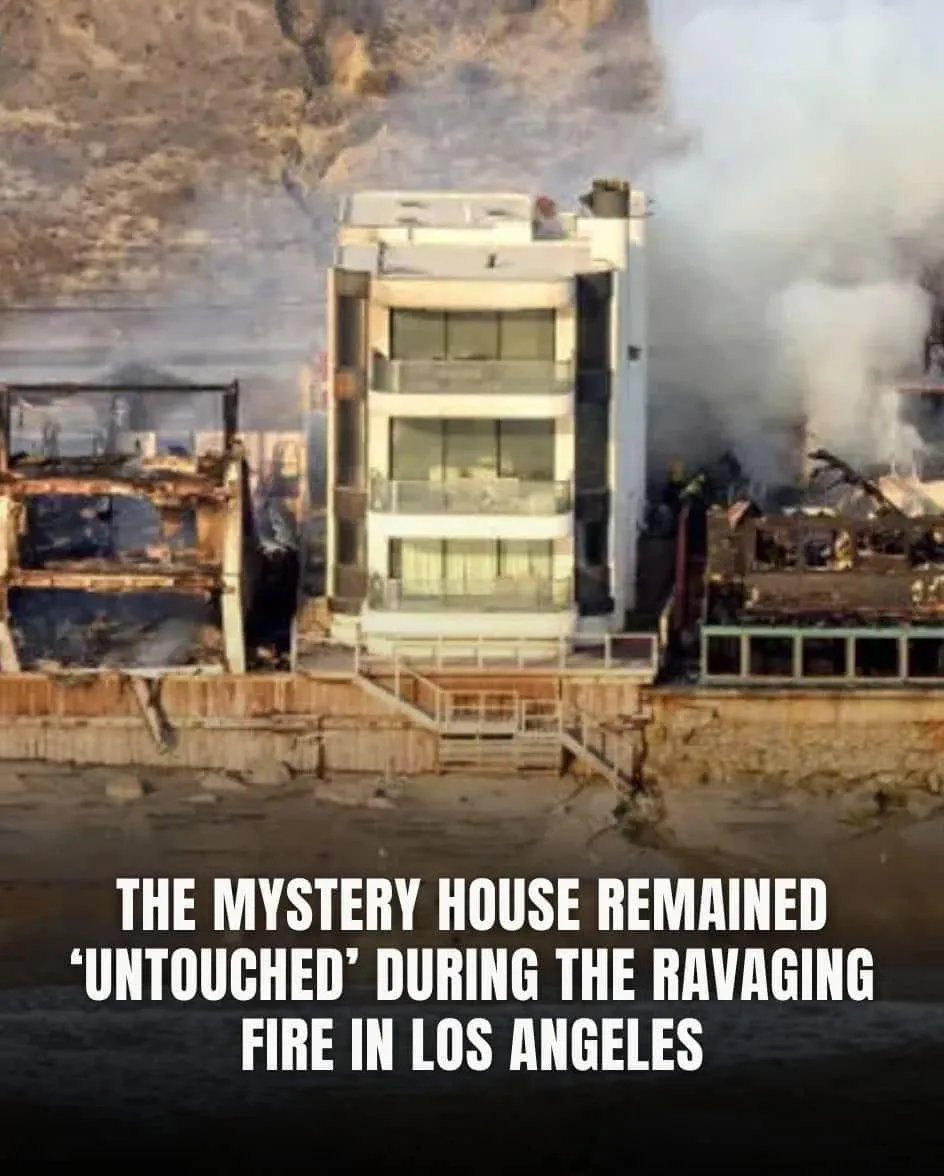 9. During The Wildfires In Los Angeles, The Business Magnate Explains How The “Miracle” House Survived “Untouched”