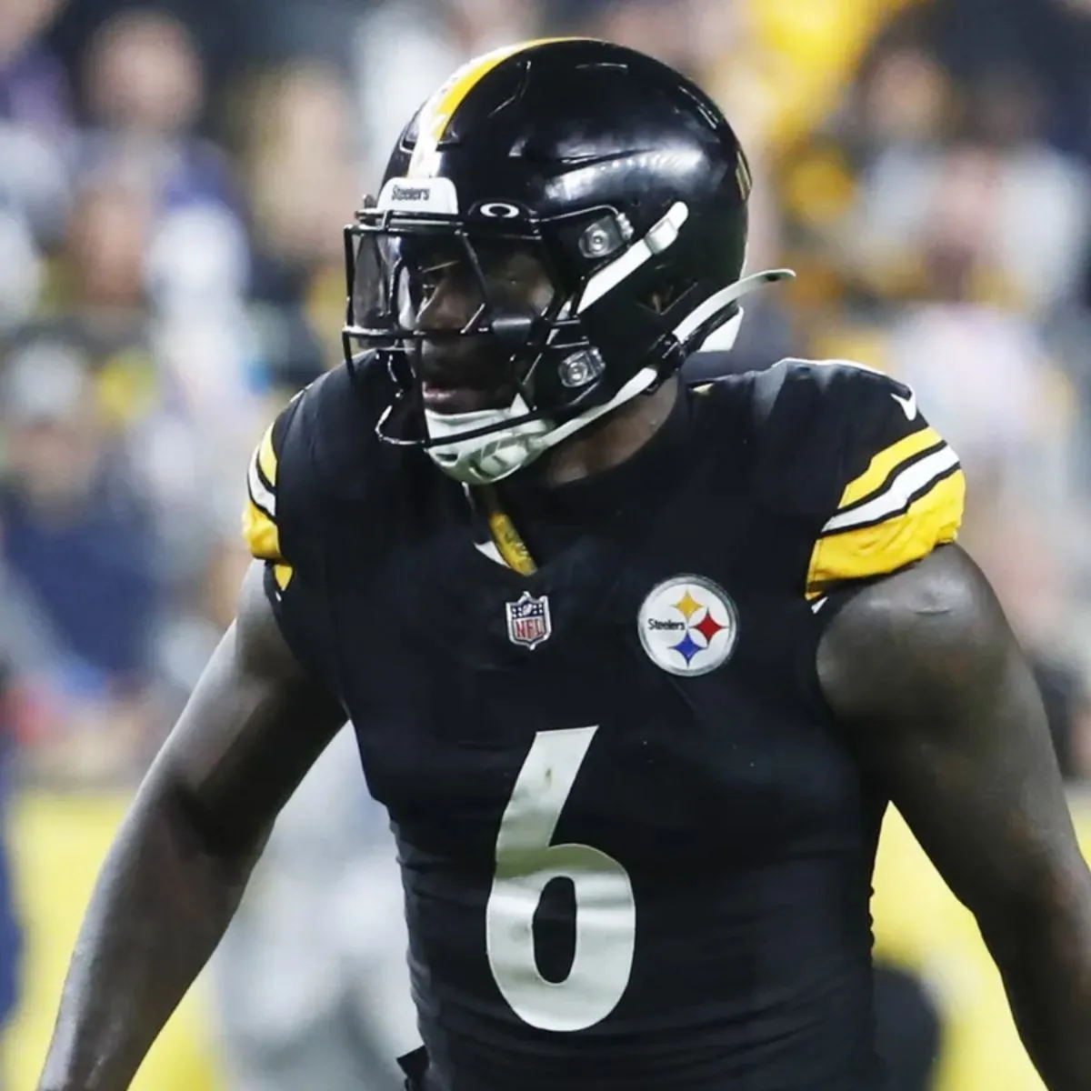 Steelers defensive leader leaks reasoning behind glaring lack of effort in loss against Baltimore