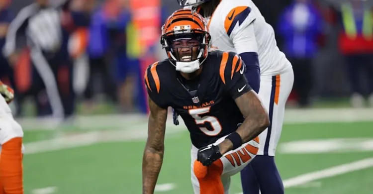 'They've Been Looking Into Tee Higgins' - Davante Adams Says Packers Eyeing Bengals Star Receiver