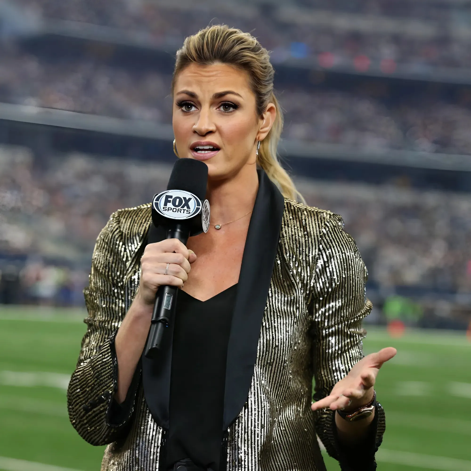 Erin Andrews' Next NFL Playoffs Assignment Revealed - suong