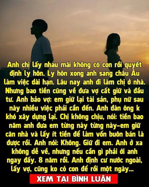 Anh chị lấy nhau mãi không có c:on rồi quyết định l:y h:ôn. L:y h:ôn xong anh sang châu Âu làm việc dài hạn.