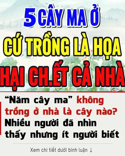 “Năm cây ma” không trồng ở nhà là năm loại cây nào?