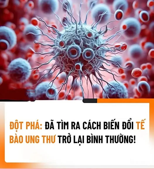 Đột phá: Đã tìm ra cách biến đổi tế bào ung thư trở lại bình thường