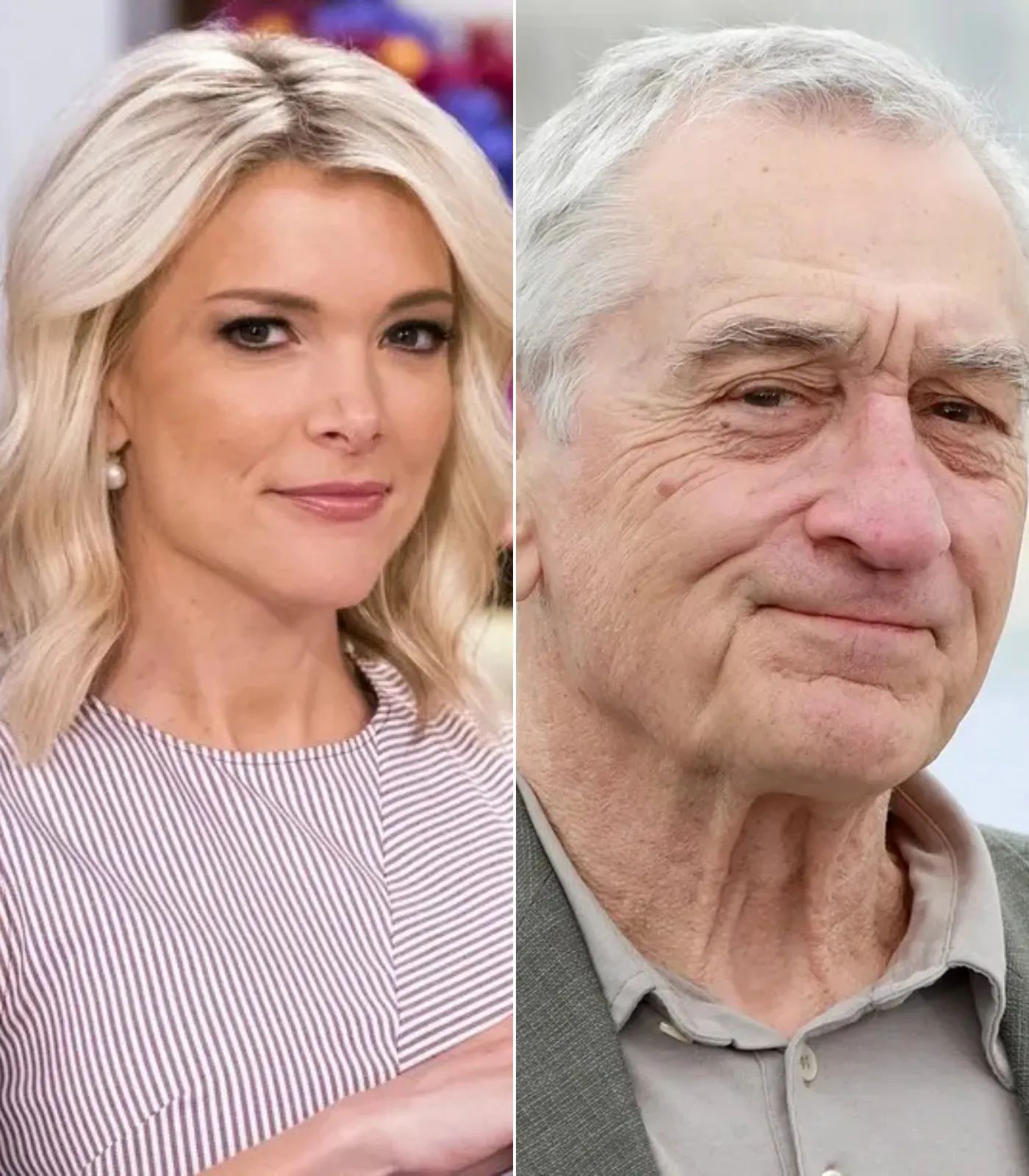 Megyn Kelly Criticizes Robert De Niro, Calls Him ‘Utterly Stupid’ on Live TV