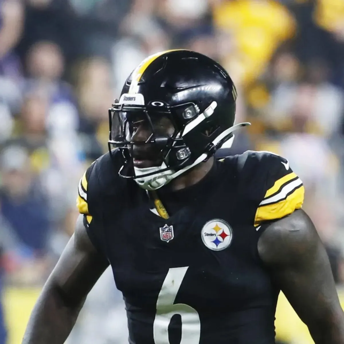 Steelers' Patrick Queen Taunts Former Teammate After Ravens' Brutal Playoff Loss