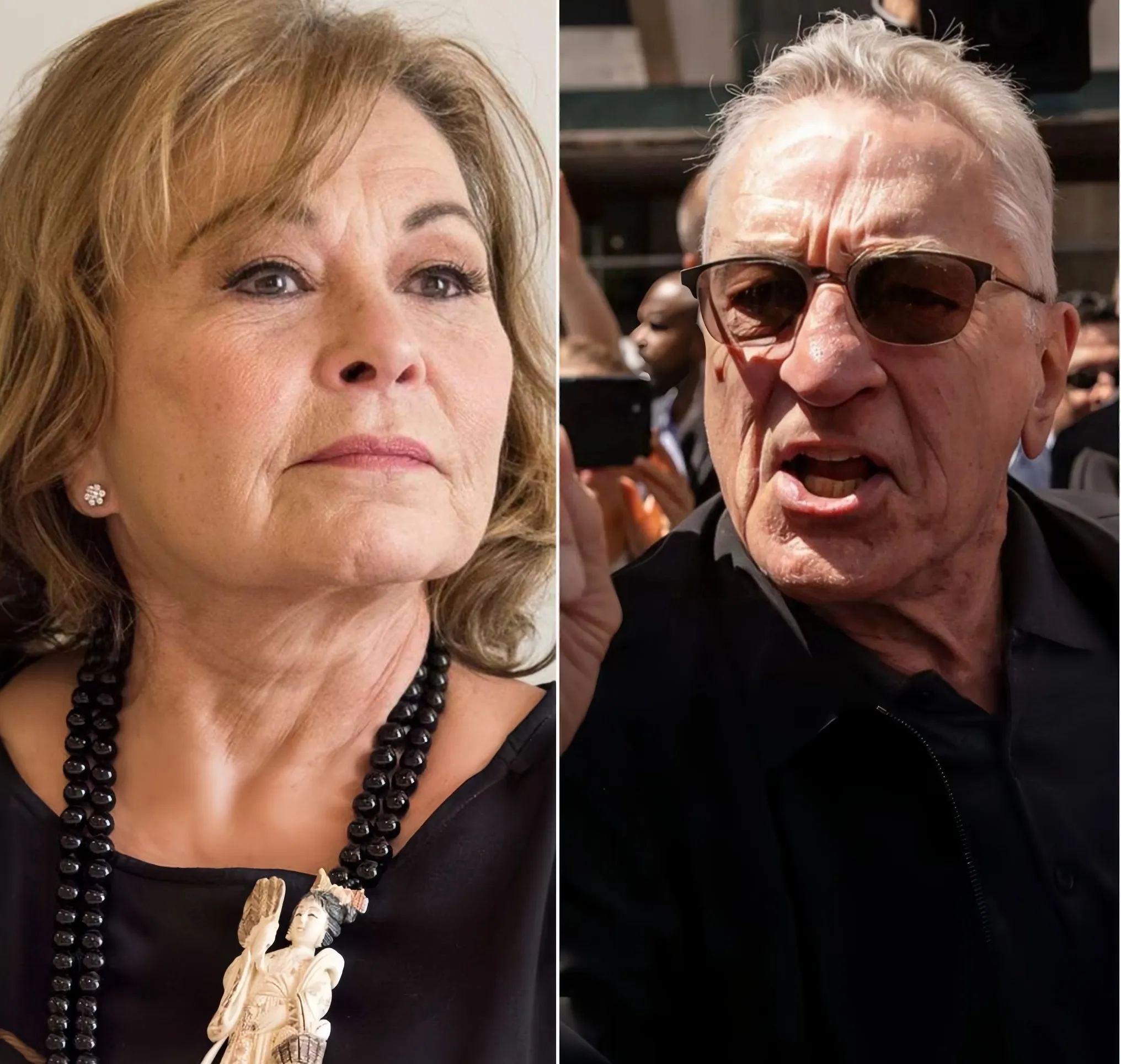 Roseanne Barr Takes a Stand: “No Woke People Allowed Here!” as She Boldly Removes Robert DeNiro from Her Show