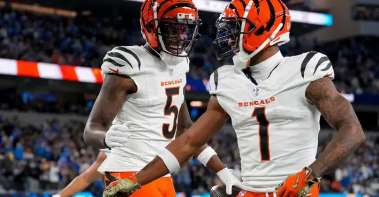 Cincinnati Bengas Predicted to Make Up For Tee Higgins Lost in First-Round of 2025 NFL Draft