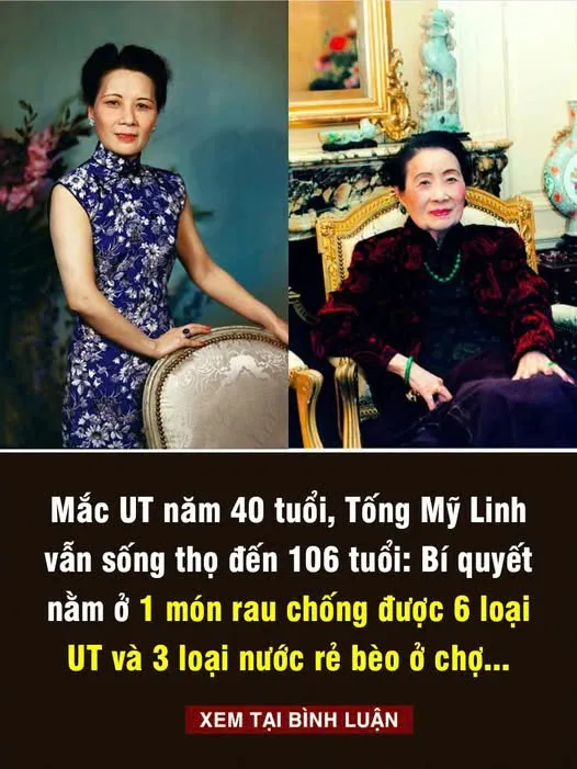 Mắc ungthu năm 40 tuổi, Tống Mỹ Linh vẫn sống thọ đến 106 tuổi: Bí quyết nằm ở 1 món rau chống được 6 loại ungthu và 3 loại nước rẻ bèo ở chợ