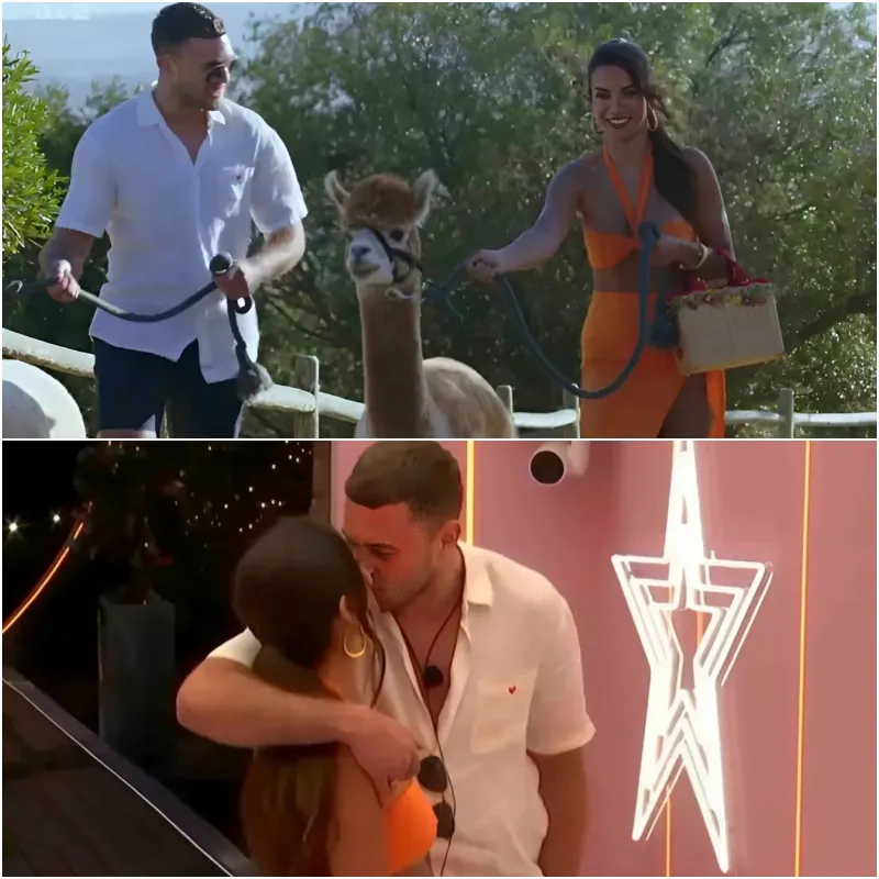 Furious Love Island fans slam ‘fake’ couple’s ‘boring’ date as they ask ‘any chance of some drama?’... ngocc