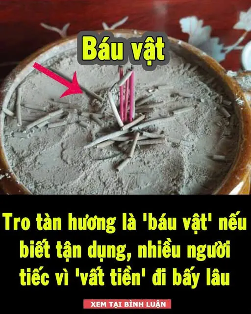 Tro tàn hương là 'báu vật' nếu biết tận dụng nó, nhiều người tiếc vì 'vất t:iền' đi bấy lâu nay