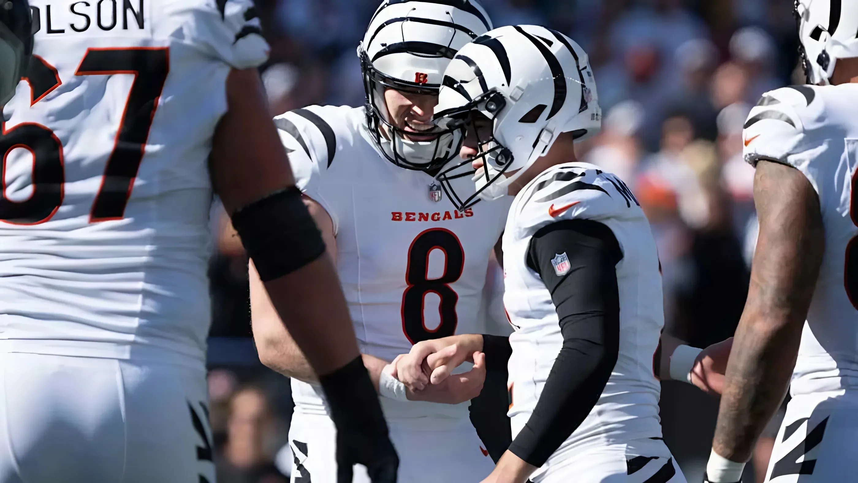 Bengals Punter Ryan Rehkow Makes PFWA All-Rookie Team