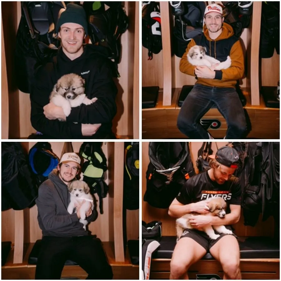 Flyers Partner With PSPCA To Help Puppies Find 'Forever Homes'