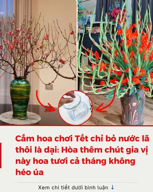 C ắ m hoa chơi Tết chỉ bỏ nước lã thôi là dại: Hòa thêm chút gia vị này hoa tươi cả tháng