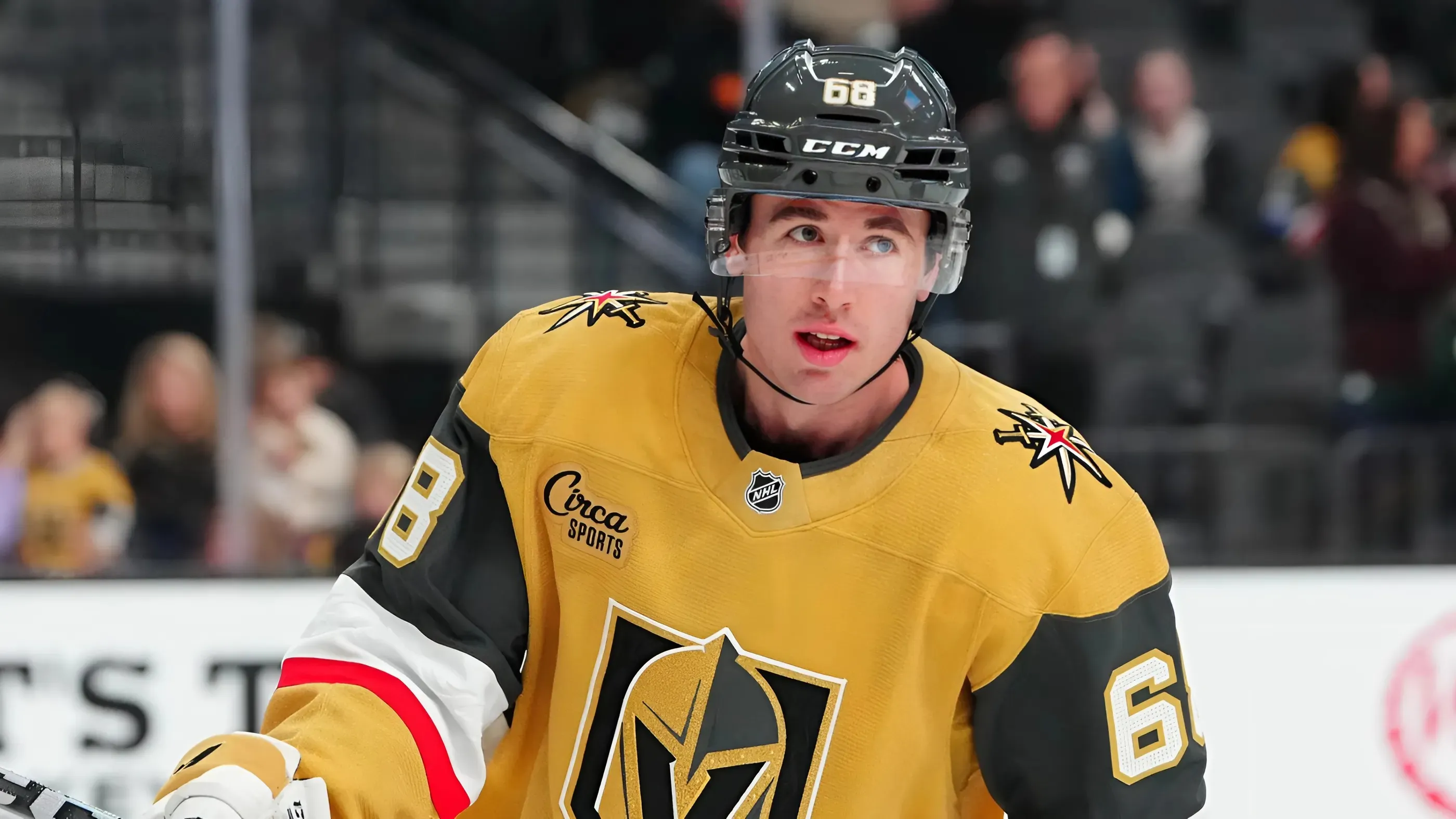 Golden Knights recall inexperienced forward