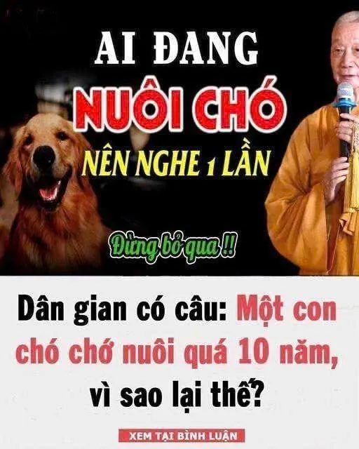 Một con chó chớ nuôi quá 10 năm, vì sao lại t