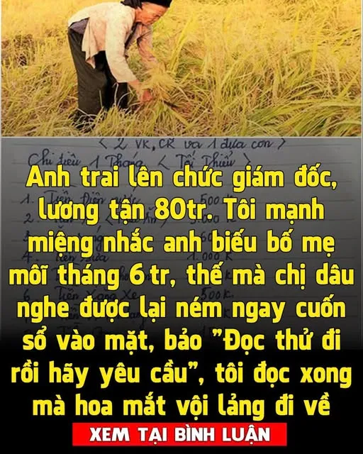 Lương của anh trai tôi 80 triệu/tháng, tôi nhắc anh biếu bố mẹ vàitriệu, chị dâu liền đưa ra cuốn sổ làm tôi hoa cả mat