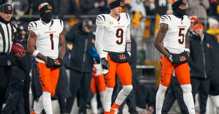 ESPN considers Bengals a teetering contenders in 2025