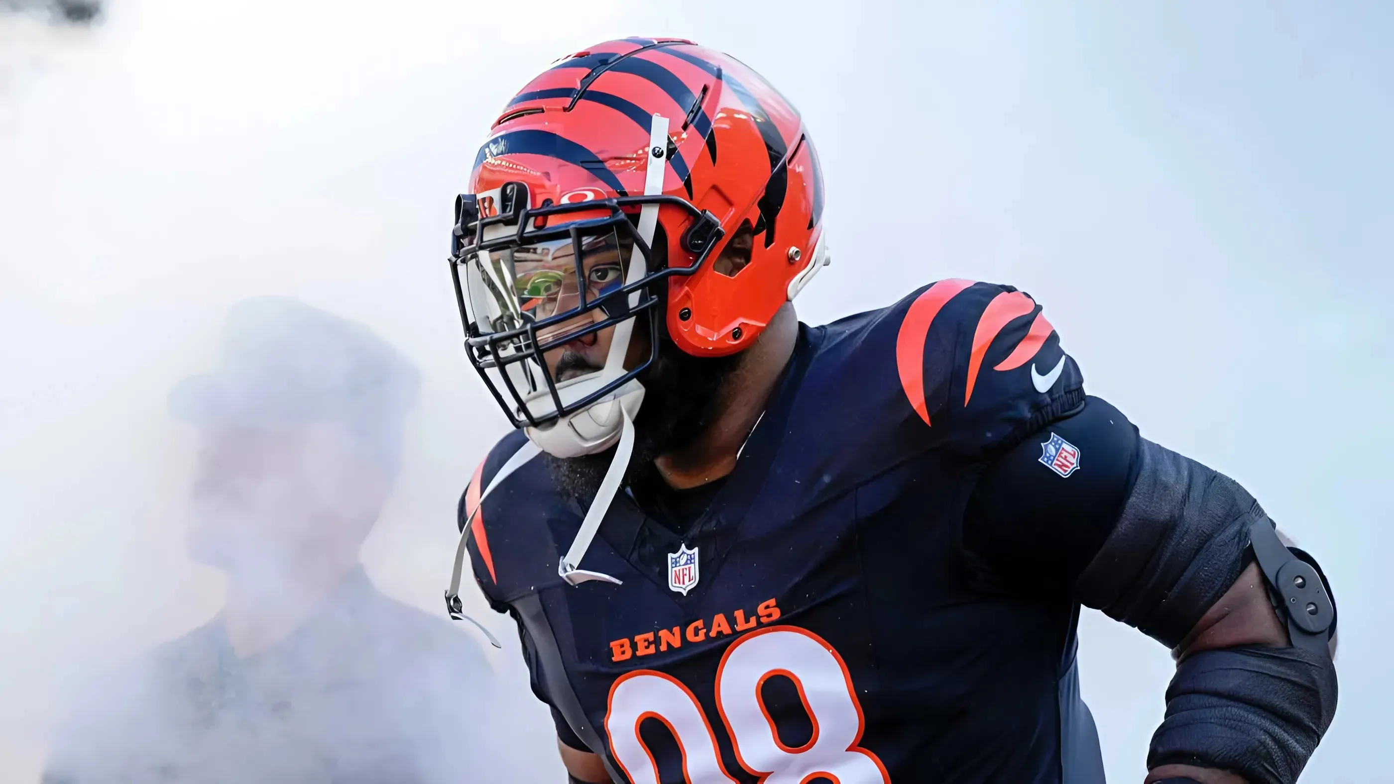 Bengals release veteran DT