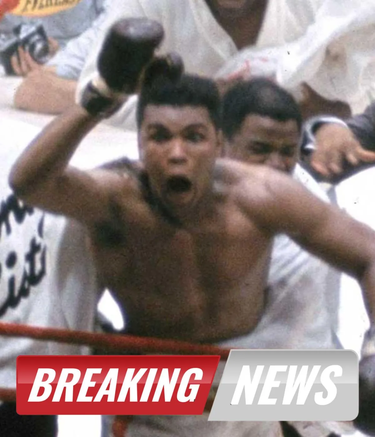 This Day in History on February 25: Muhammad Ali Wins Heavyweight Boxing Title