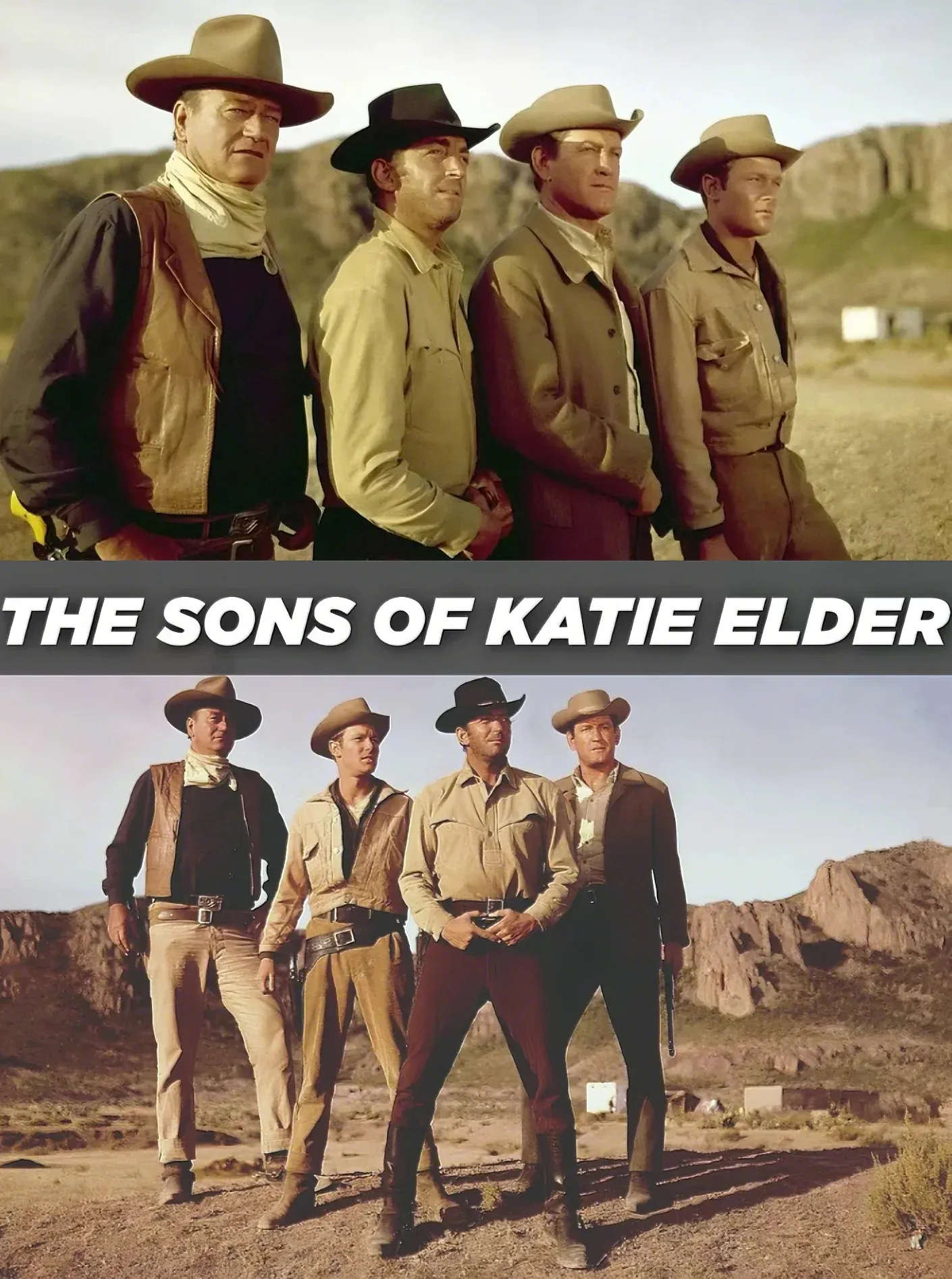 The Sons of Katie Elder (1965)