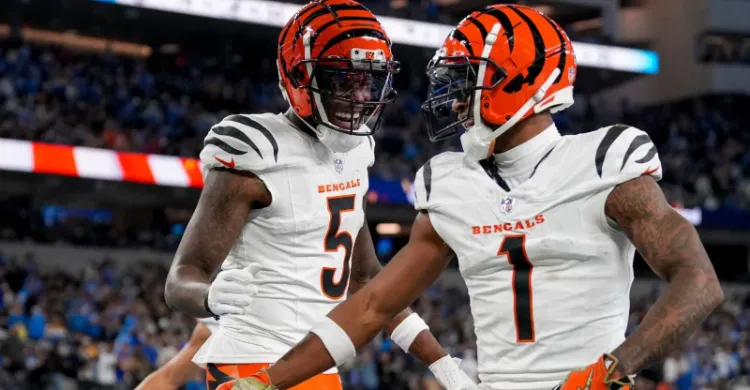 Tee Higgins appears to call Bengals exec a liar