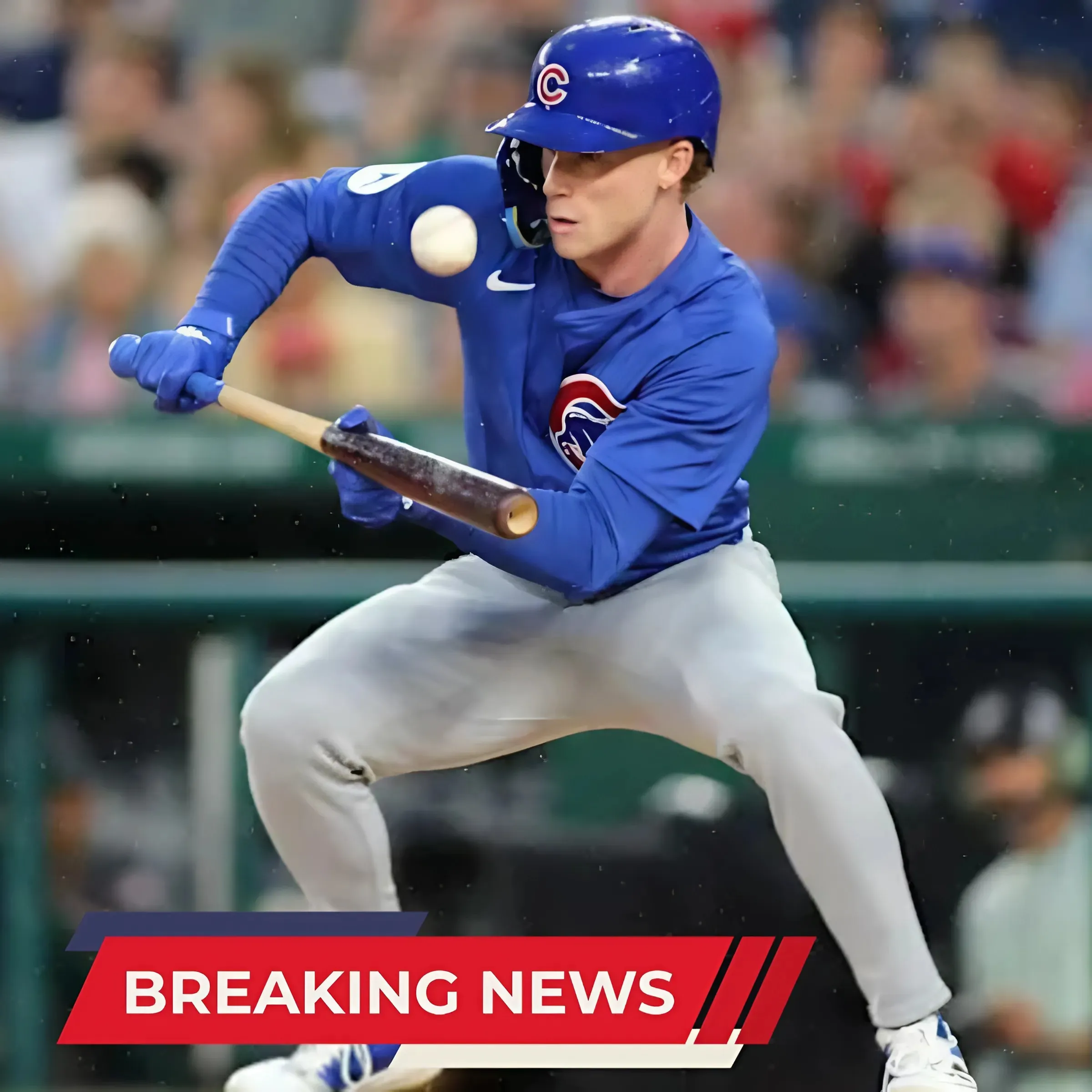 Chicago Cubs Have One of Best Outfield Building Blocks in Baseball