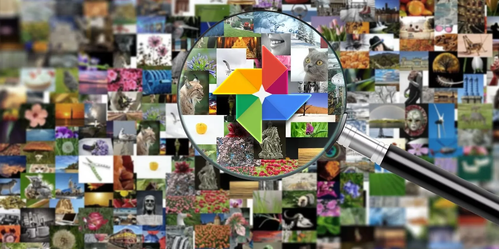 How to Find Images in Google Photos