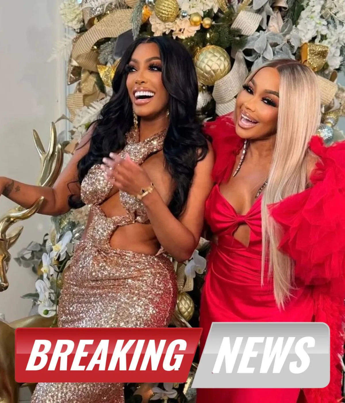 Dr. Simone Whitmore Calls Porsha Williams a Mean Girl