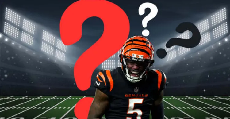 Tee Higgins’ 1-Word Message on Bengals’ Contract Decision