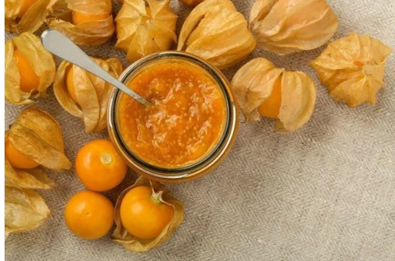 Loại cây m ọc d ại ở V iệt N am, bên Nh ật q uý như “th ần d ược”, gi á “ch át” Loại cây m ọc d ại ở V iệt N am, bên Nh ật q uý như “th ần d ược”, gi á “ch át”