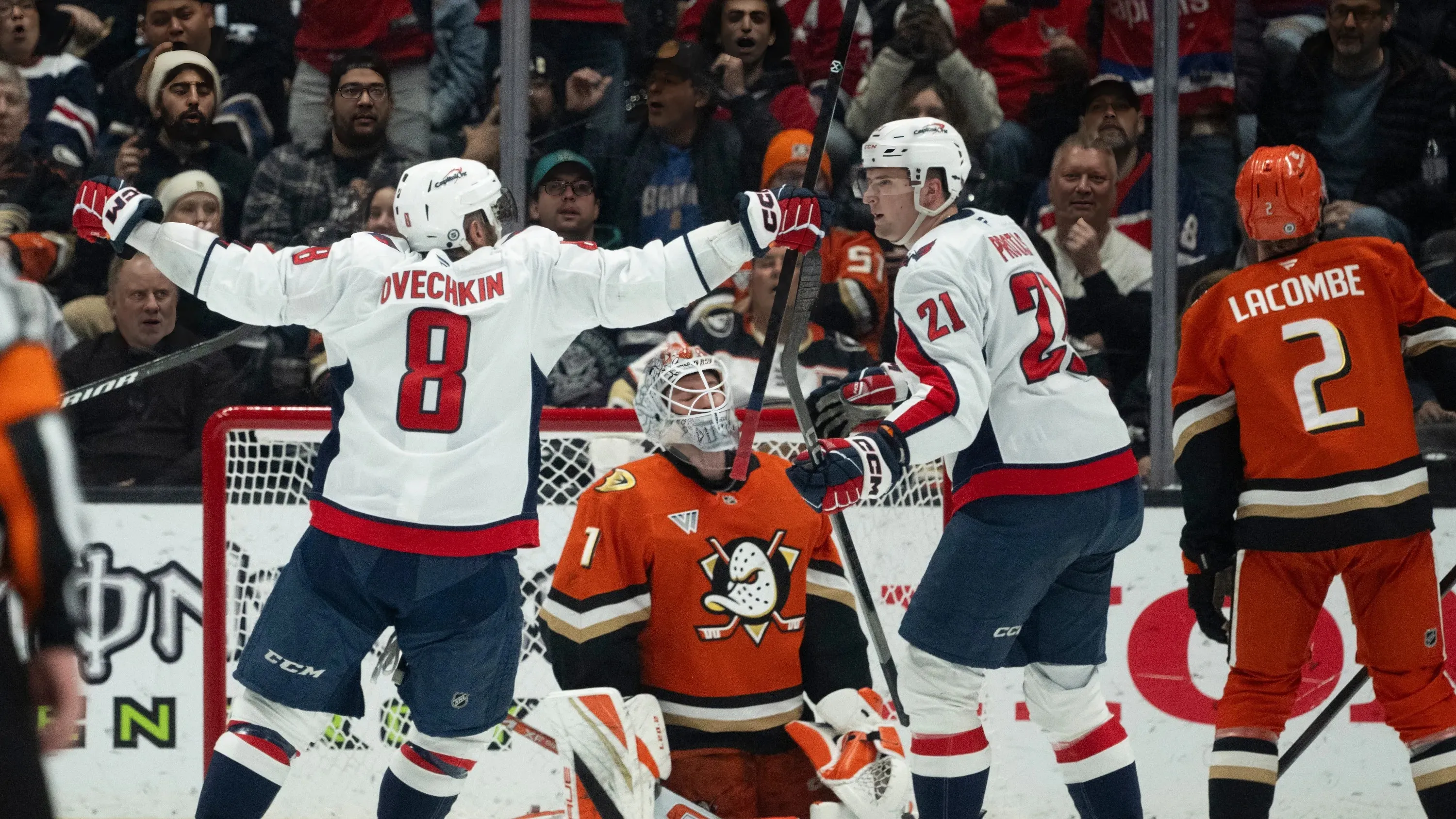 Capitals Dominate Ducks 7-4: Wilson, Chychrun Shine with Career-High Points, Protas Nets First NHL Hat Trick trucc