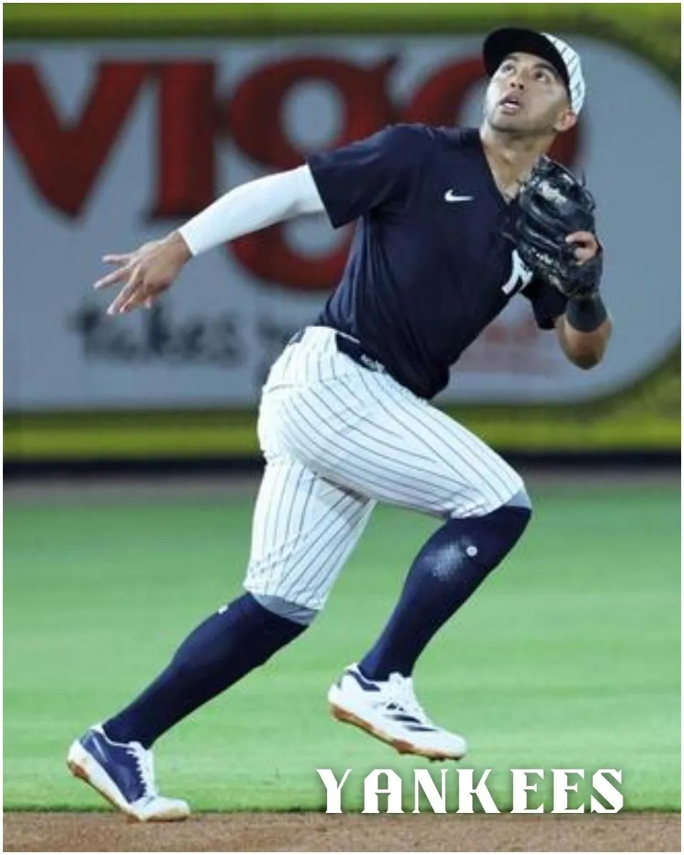 Oswald Peraza working without a safety net as he tries to make Yankees