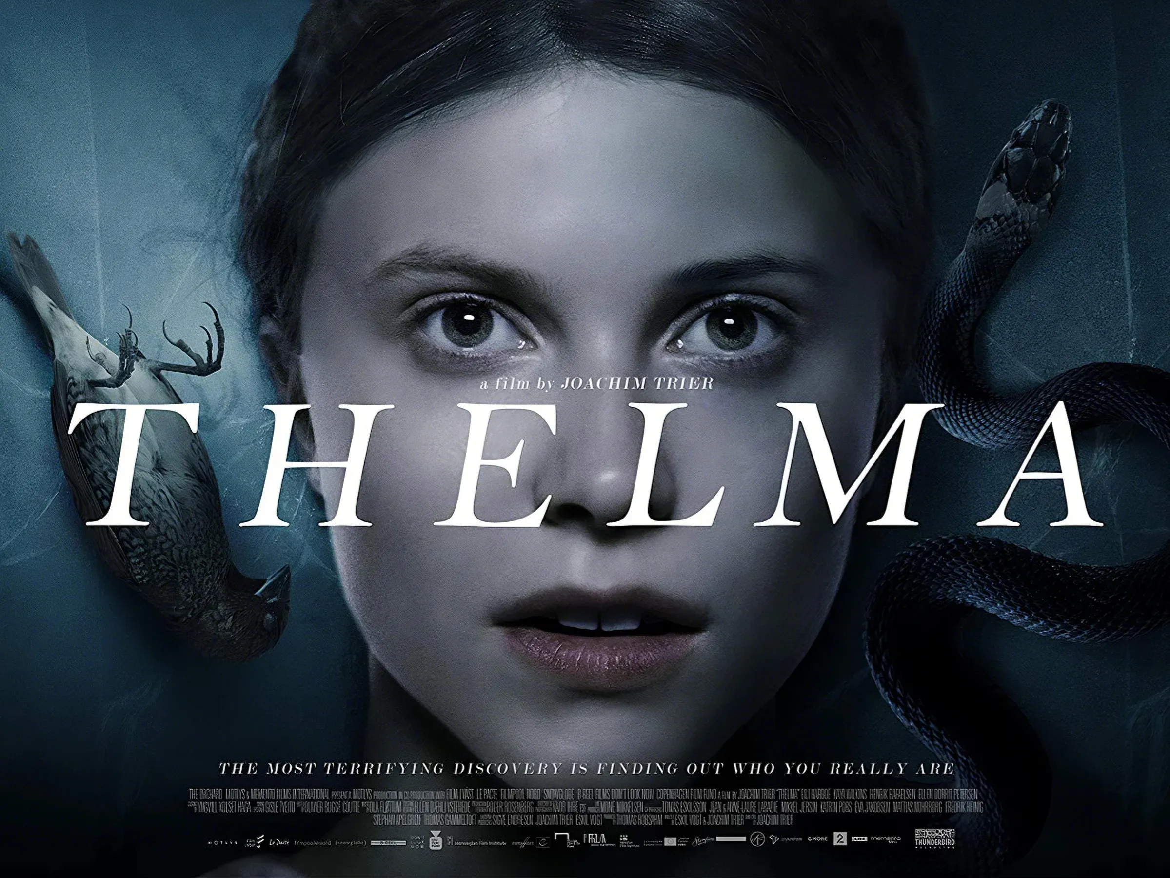 🎥 𝐓𝐡𝐞𝐥𝐦𝐚 (𝟐𝟎𝟏𝟕)