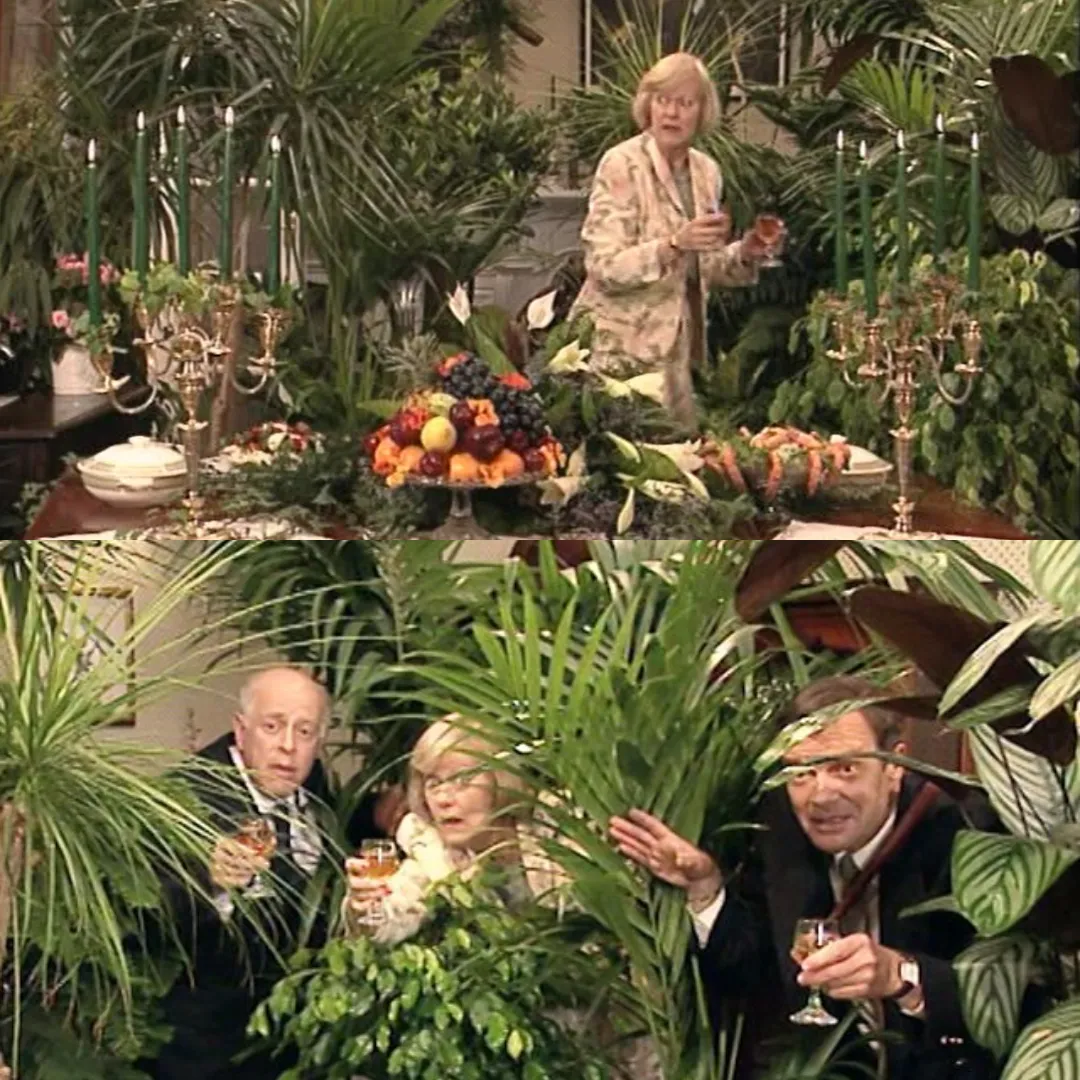 The High-Society Garden Party: Hyacinth’s Quest for Elegance Turns to Chaos The High-Society Garden Party: Hyacinth’s Quest for Elegance Turns to Chaos