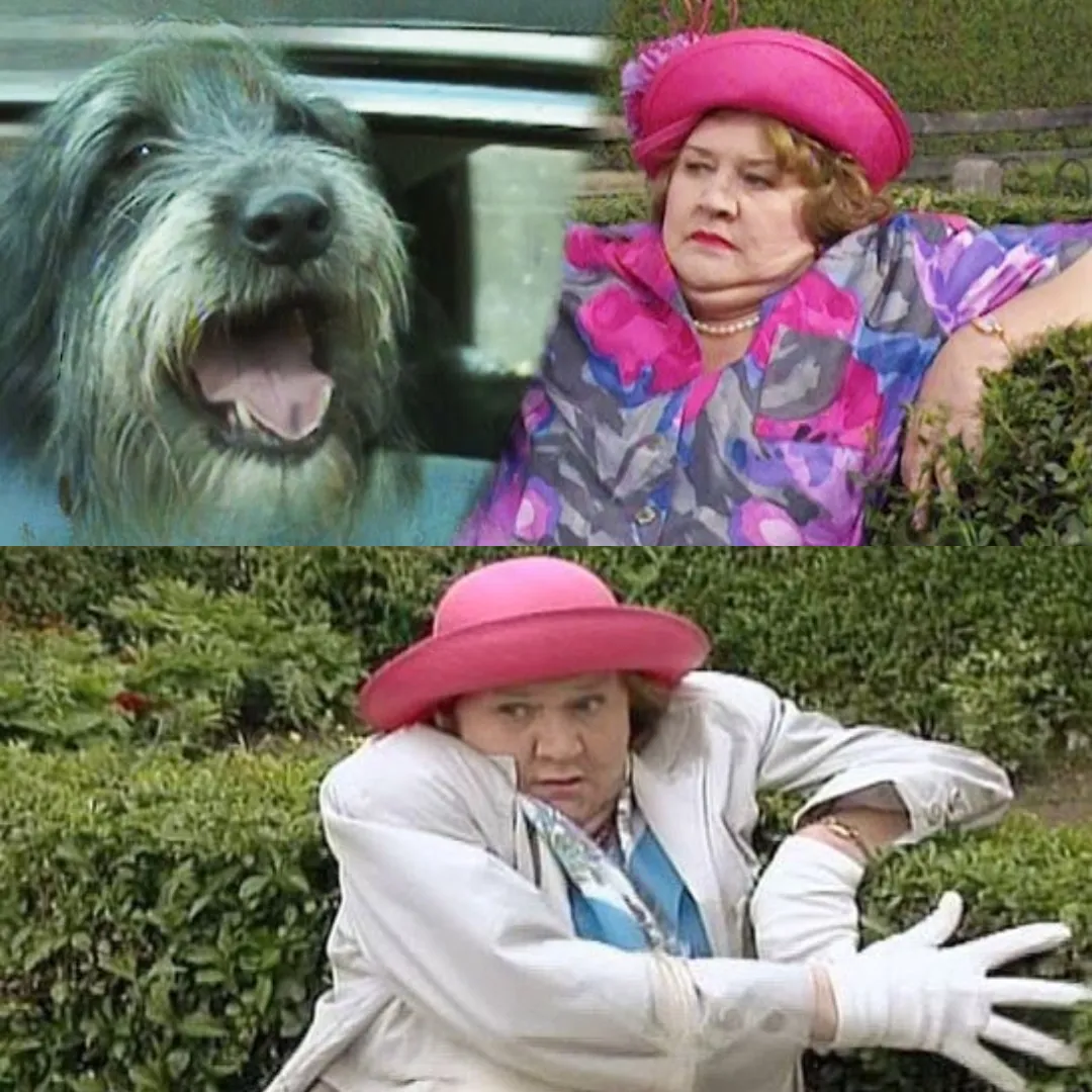 Hyacinth Bucket’s Hilarious Attempt at Walking a Dog: A Classic Moment from Keeping Up Appearances