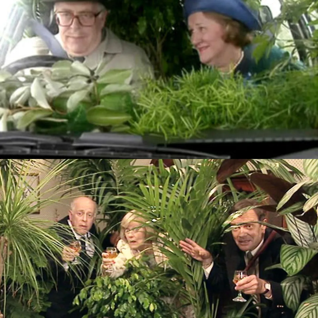 Hyacinth Bucket: A Woman of Contradictions