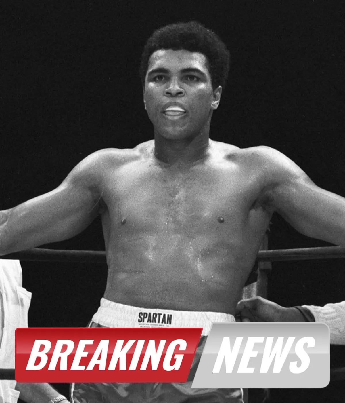 Earnie Shavers Faced Both Muhammad Ali And Larry Holmes And Had No Doubt Who Was Better