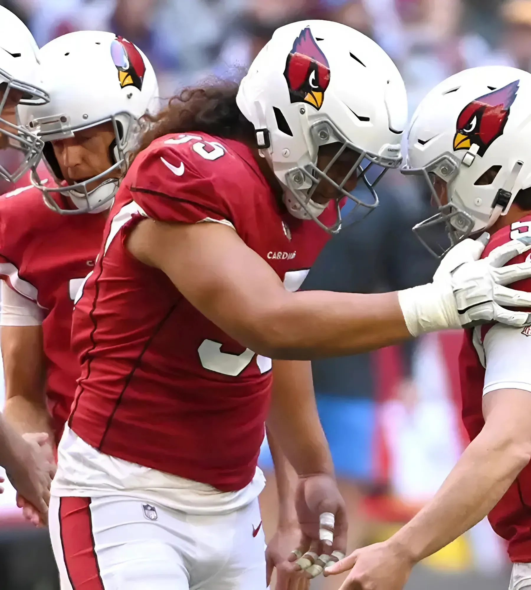 Raiders Strike Deal With Former Cardinals 22-Game Starting DL Raiders Strike Deal With Former Cardinals 22-Game Starting DL