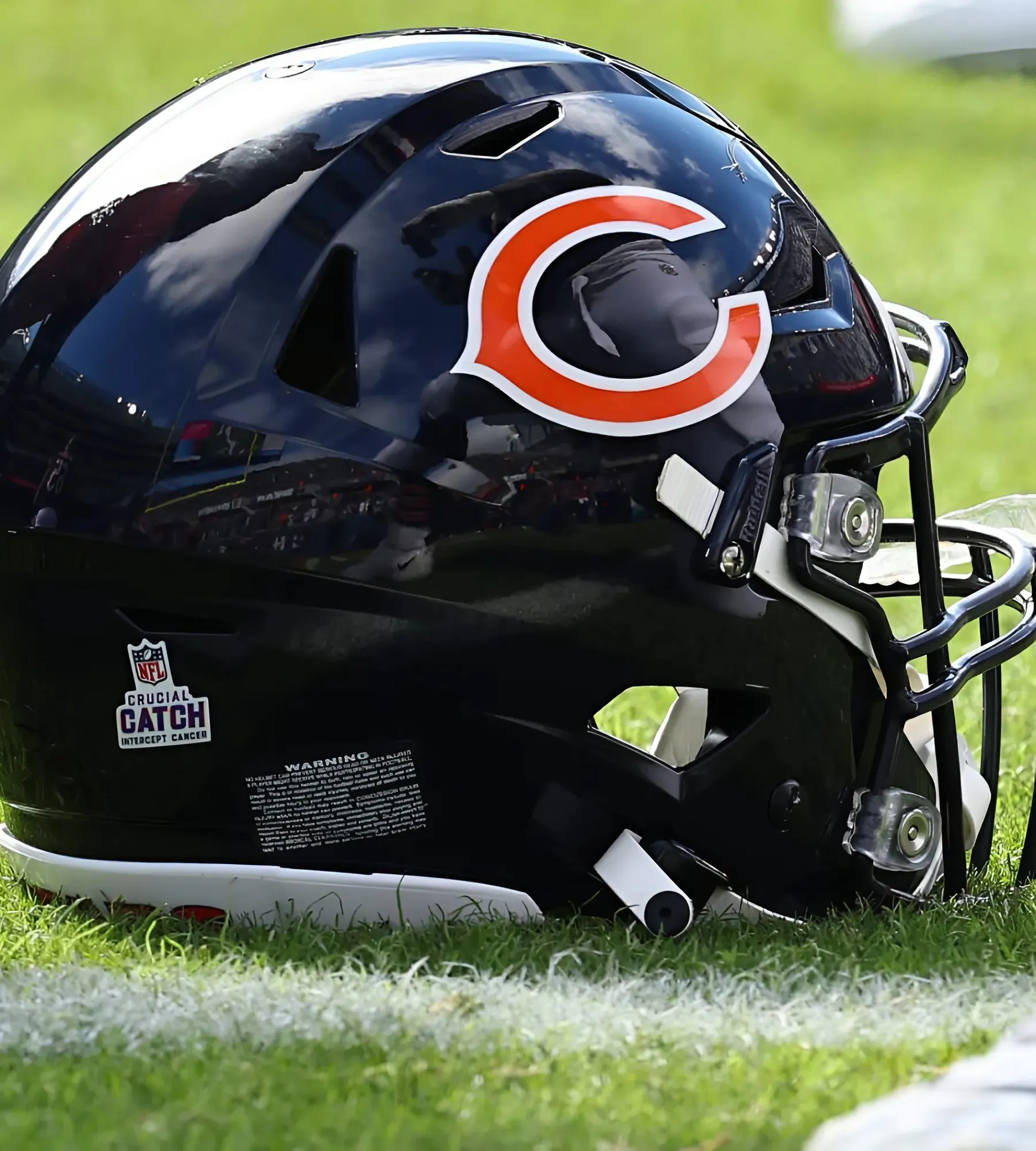 Laura Anderson Joins Bears as New CFO