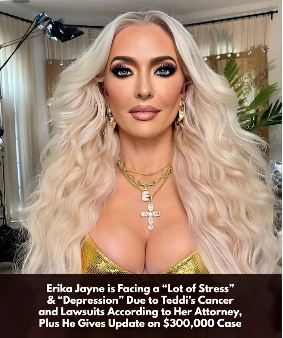 RHOBH’s Erika Jayne is Facing a “Lot of Stress” Due to Teddi’s Cancer and Lawsuits, Plus Her Attorney Explains Why He Missed Court Hearing in $300,000 Case RHOBH’s Erika Jayne is Facing a “Lot of Stress” Due to Teddi’s Cancer and Lawsuits, Plus Her Attorney Explains Why He Missed Court Hearing in $300,000 Case
